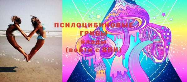 гидропоника Тольятти