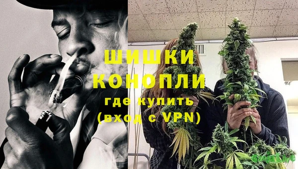 гидропоника Тольятти